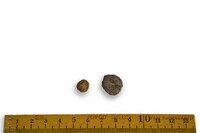 F 03567
<br/>
<br/>
<em></em>